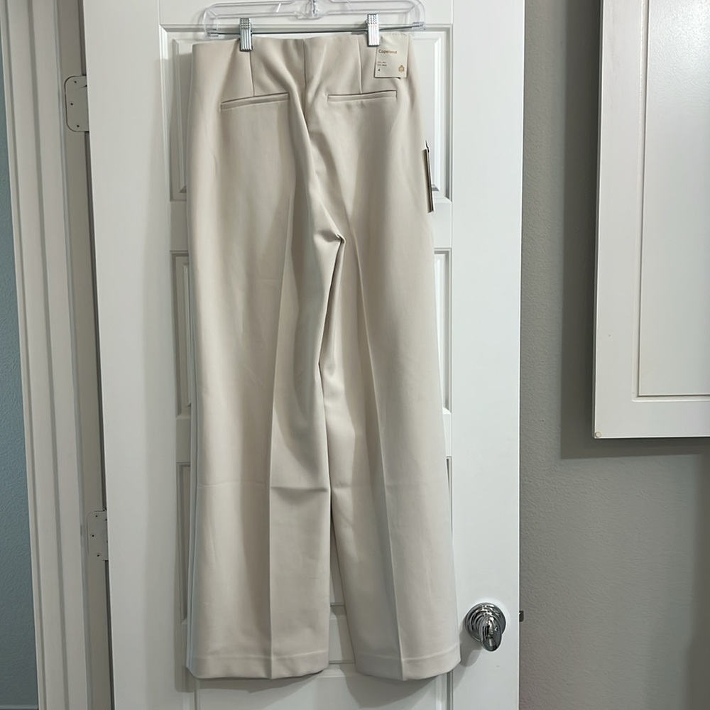 NWT aritiza pants style copeland - Picture 4 of 5